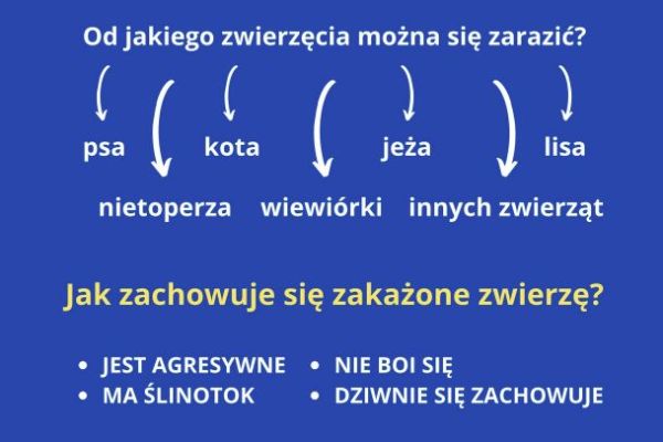 wscieklizna1F113BAF4-569C-AE26-C457-23E4817A7E8F.jpg