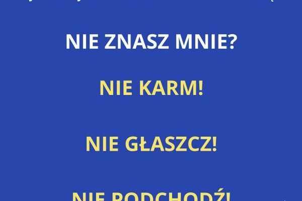 wscieklizna22D21CA91-5C0C-5B06-D54F-CD894A5457F6.jpg